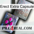 Erect Extra Capsule 38